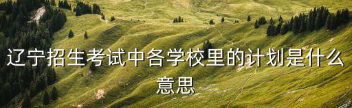 遼寧招生考試中各學(xué)校里的計(jì)劃是什么意思