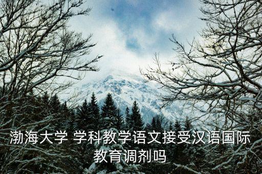 渤海大學 學科教學語文接受漢語國際教育調劑嗎