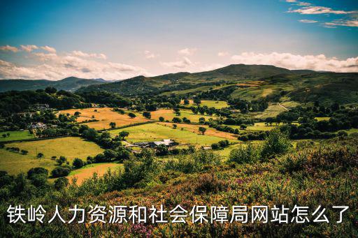 鐵嶺市人力資源和社會保障局，有知道鐵嶺市人力資源和社會保障局的地址和電話么