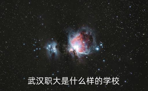 武漢職大是什么樣的學校