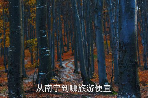 從南寧到哪旅游便宜