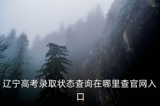 遼寧高考錄取狀態查詢在哪里查官網入口