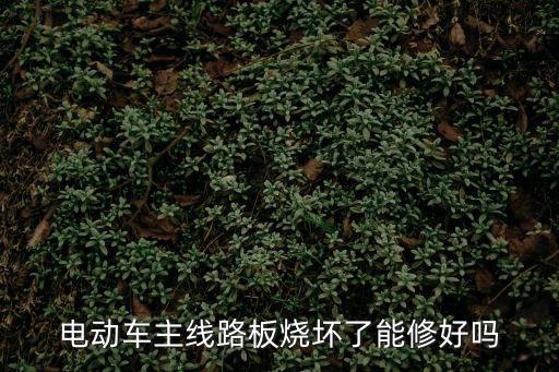 電動車主線路板燒壞了能修好嗎