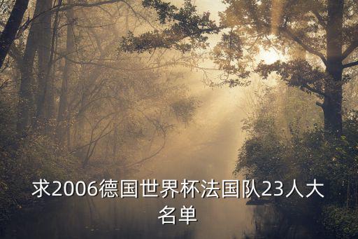 求2006德國世界杯法國隊23人大名單