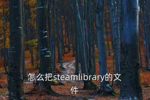 stearm，怎么把steamlibrary的文件