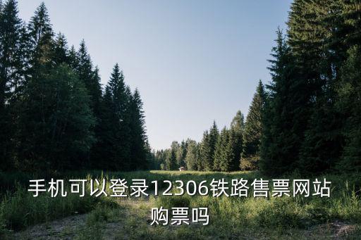 手機(jī)訂票，手機(jī)可以登錄12306鐵路售票網(wǎng)站購票嗎
