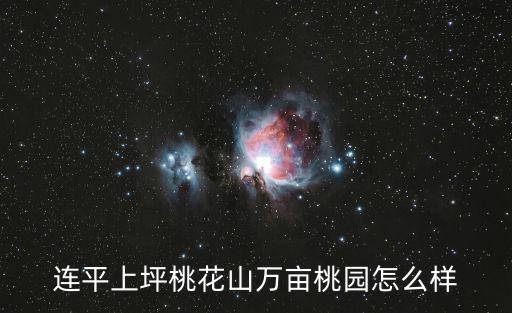 連平上坪桃花山萬畝桃園怎么樣