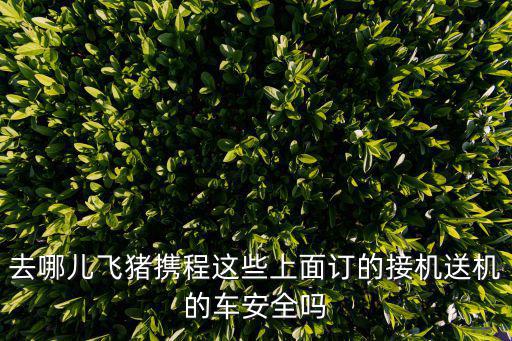 去哪兒飛豬攜程這些上面訂的接機送機的車安全嗎