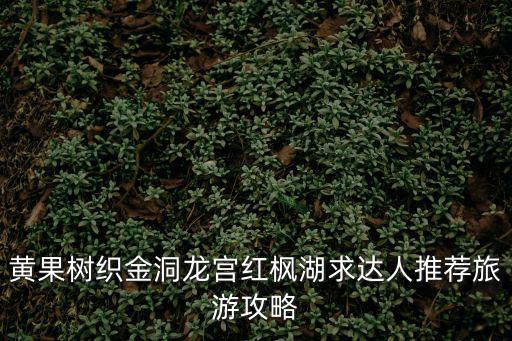 黃果樹織金洞龍宮紅楓湖求達人推薦旅游攻略