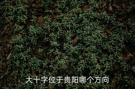 大十字位于貴陽(yáng)哪個(gè)方向