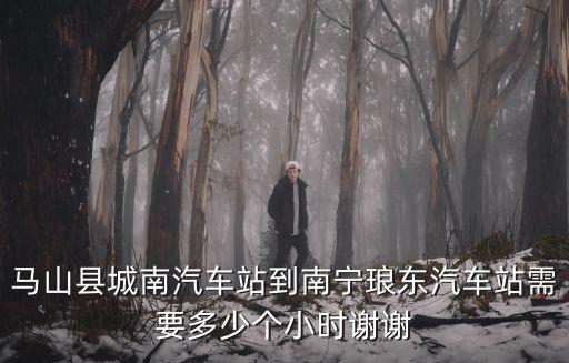馬山縣城南汽車站到南寧瑯東汽車站需要多少個小時謝謝