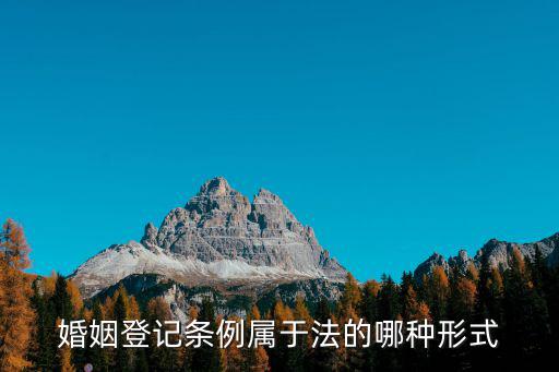 婚姻登記條例，婚姻登記條例