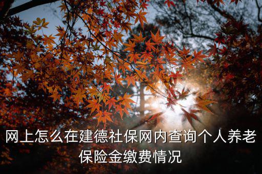 社保網站個人查詢，個人社保查詢
