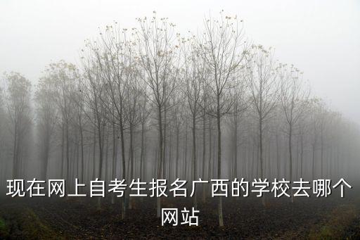 廣西自學考試網，現在網上自考生報名廣西的學校去哪個網站