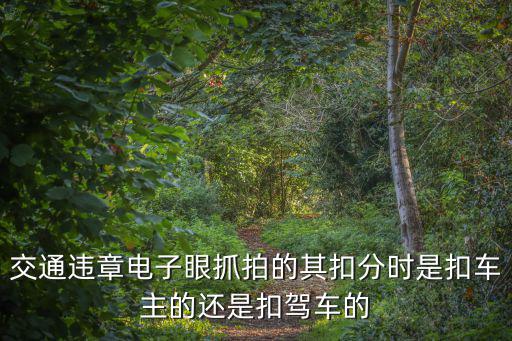 交通違章電子眼抓拍的其扣分時是扣車主的還是扣駕車的