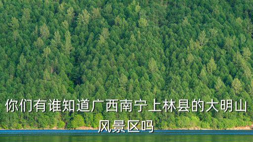 你們有誰知道廣西南寧上林縣的大明山風景區嗎
