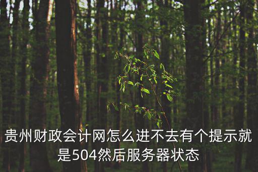 貴州財政會計網怎么進不去有個提示就是504然后服務器狀態