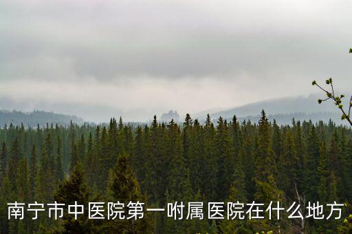 南寧市中醫院第一咐屬醫院在什么地方