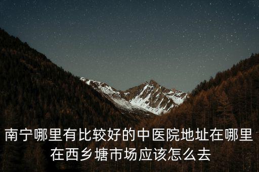 南寧哪里有比較好的中醫院地址在哪里 在西鄉塘市場應該怎么去