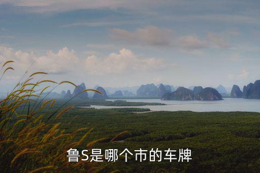 魯s是哪里的車牌號碼，魯S00001車牌是哪里的啊