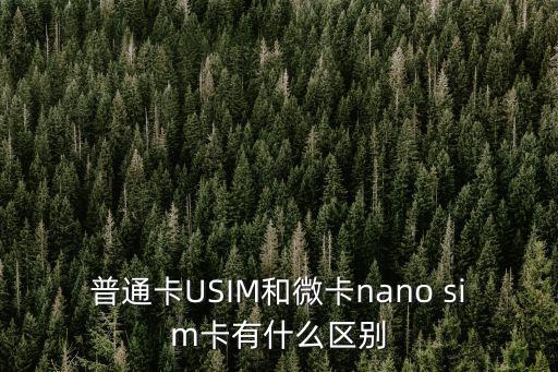 普通卡USIM和微卡nano sim卡有什么區(qū)別