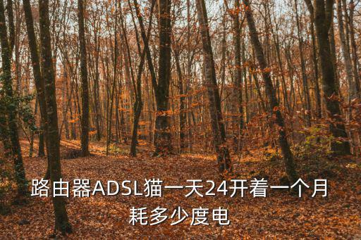 路由器ADSL貓一天24開著一個月耗多少度電