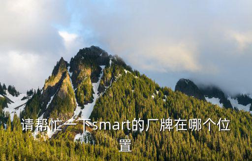 請幫忙一下smart的廠牌在哪個位置