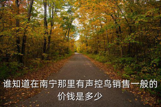 廣西軍區幼兒園，廣西軍區幼兒園建園55周年慶祝晚會童話劇夢幻樂園里的這首歌是