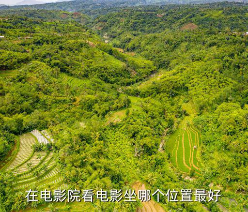 電影院座位，在電影院看電影坐哪個位置最好