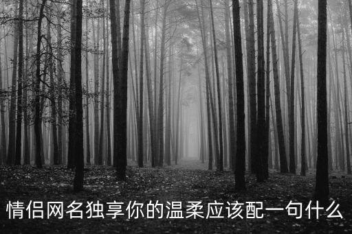 情侶網名獨享你的溫柔應該配一句什么