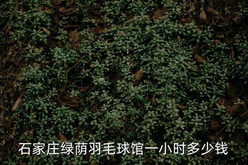 石家莊綠蔭羽毛球館一小時多少錢