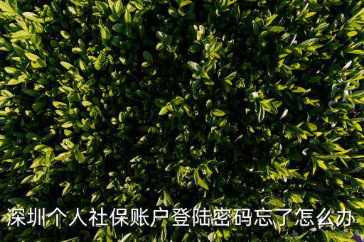 深圳個(gè)人社保賬戶登陸密碼忘了怎么辦