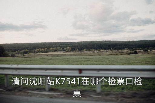 請問沈陽站K7541在哪個檢票口檢票