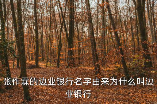 邊業銀行，沈陽有邊業銀行嗎