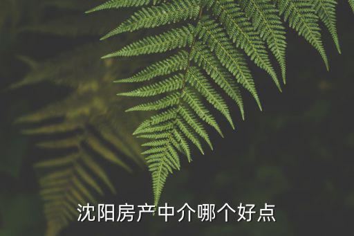 沈陽房產中介，沈陽房產中介哪個好