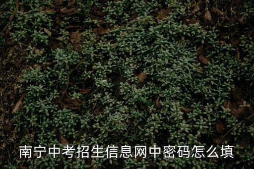 南寧中考招生信息網(wǎng)中密碼怎么填