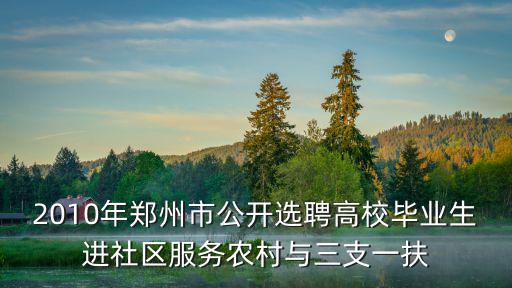 2010年鄭州市公開選聘高校畢業生進社區服務農村與三支一扶