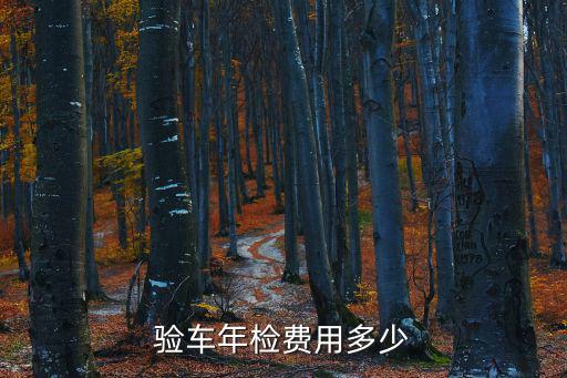 驗車年檢費用多少