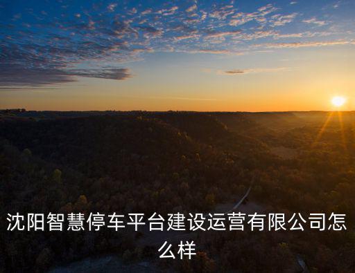 沈陽智慧停車平臺建設運營有限公司怎么樣