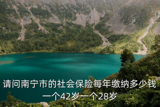南寧社保，請問南寧市的社會保險(xiǎn)每年繳納多少錢一個(gè)42歲一個(gè)28歲