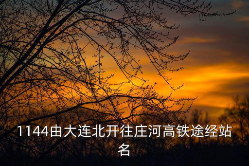 1144由大連北開往莊河高鐵途經站名