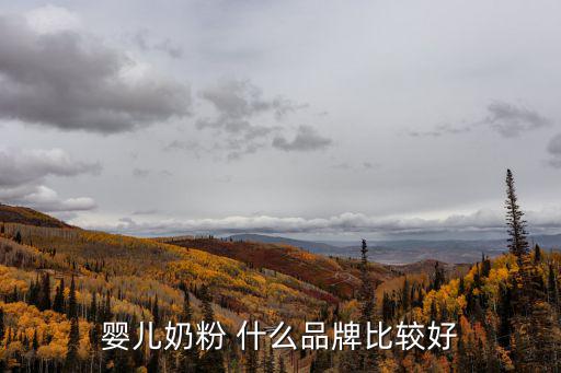 嬰兒奶粉 什么品牌比較好