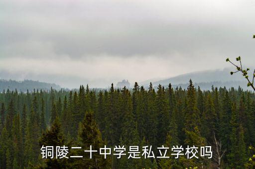 銅陵二十中學是私立學校嗎
