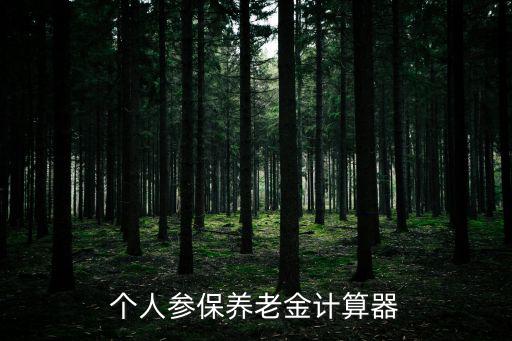 個人養(yǎng)老保險計(jì)算器，養(yǎng)老保險領(lǐng)取計(jì)算器