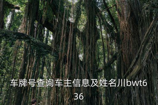 車牌信息查詢系統，車牌號查詢車主信息及姓名川bwt636