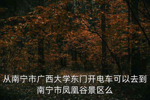 從南寧市廣西大學東門開電車可以去到南寧市鳳凰谷景區(qū)么