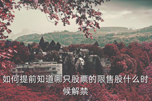 如何提前知道哪只股票的限售股什么時候解禁