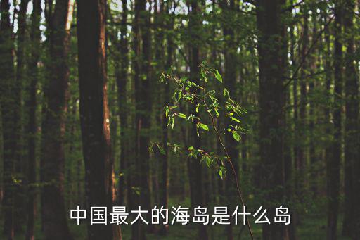 中國最大的海島是什么島