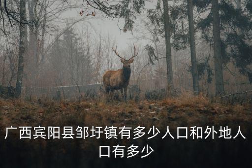 鄒圩鎮，鄒圩鎮的地理位置