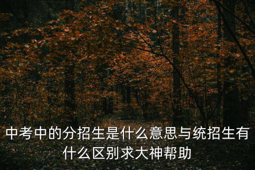 中考中的分招生是什么意思與統招生有什么區別求大神幫助